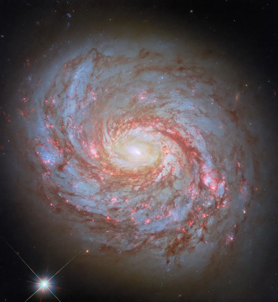 Лучшие космические снимки 2025 года 21 spiralnaya galaktika m77 karakaticza